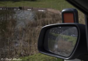 Relections_1
