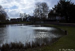 Relections_2