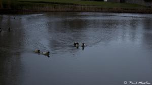 Relections_3