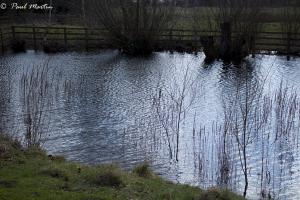 Relections_4