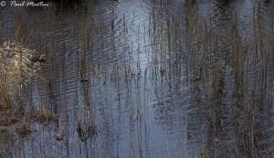 Relections_5