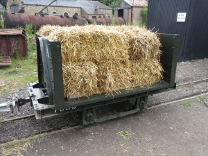 IMG 3849 (1)   
