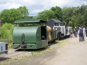 IMG 3887 (1)   